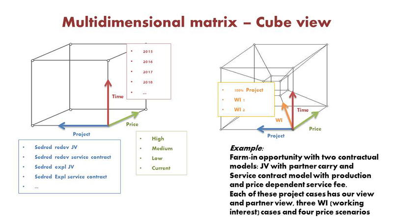 oil and gas planning and economic evaluation solution, multidimensional cube